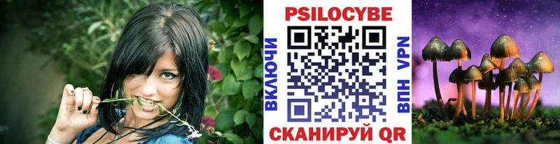 даркнет как зайти Рыльск Галлюциногенные грибы мицелий закладка